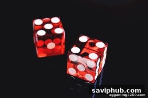 AG真人 saviphub